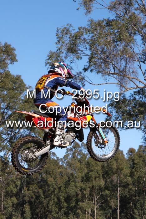 445x677 pixels (88K)